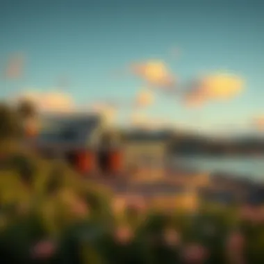Magnificent Exploring Iris Bay: A Comprehensive Guide