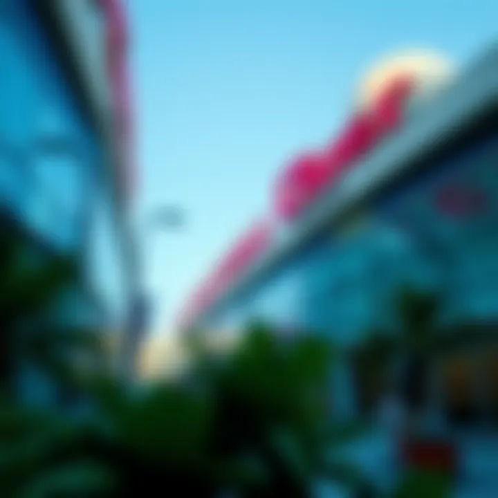 Magnificent Exploring the Cheapest Mall in Dubai