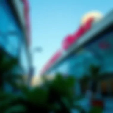 Magnificent Exploring the Cheapest Mall in Dubai Magnificent Exploring the Cheapest Mall in Dubai