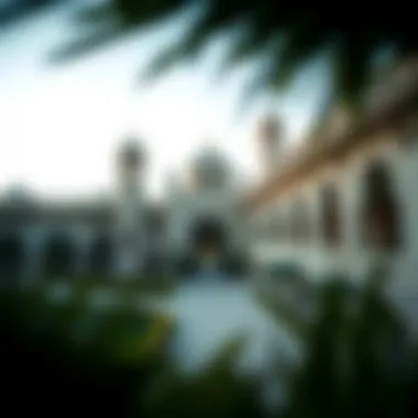 Magnificent Umm Hurair: A Hidden Gem in Dubai's Real Estate Landscape Magnificent Umm Hurair: A Hidden Gem in Dubai's Real Estate Landscape