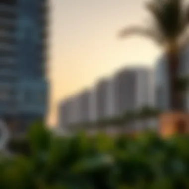Executing the Nad Al Shiba Development: Insights and Implications Summary Executing the Nad Al Shiba Development: Insights and Implications Summary