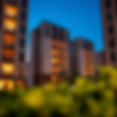 Exploring Monthly Rental Options for One-Bedroom Apartments in Barsha Summary Exploring Monthly Rental Options for One-Bedroom Apartments in Barsha Summary