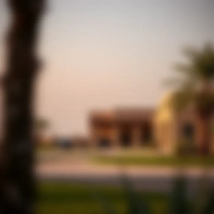 Exploring Ranch Properties in Dubai: Trends and Opportunities Summary