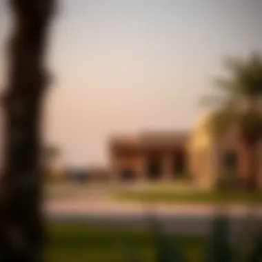 Exploring Ranch Properties in Dubai: Trends and Opportunities Summary Exploring Ranch Properties in Dubai: Trends and Opportunities Summary