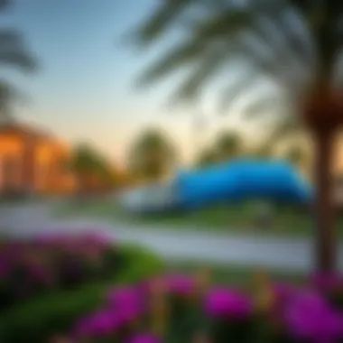 Community amenities in تلال جميرا including parks and recreational areas
