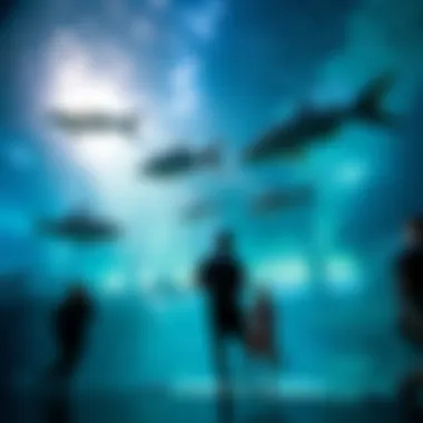 Exploring the Dubai Mall Underwater Zoo: An Insightful Journey Summary Exploring the Dubai Mall Underwater Zoo: An Insightful Journey Summary