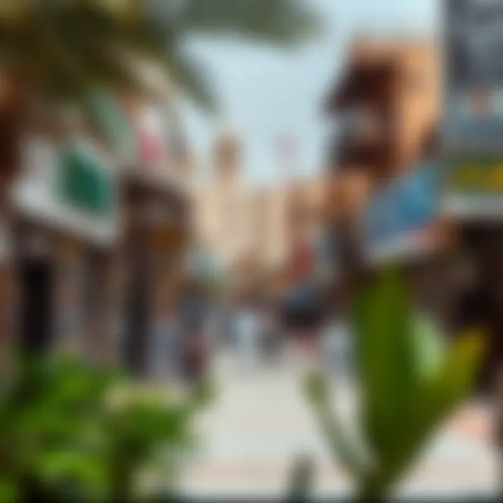 Overview of Satwa neighborhood featuring local shops and cafes